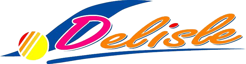 LOGO DELISLE 01